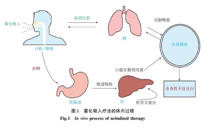 雾化吸入疗法合理用药专家共识
